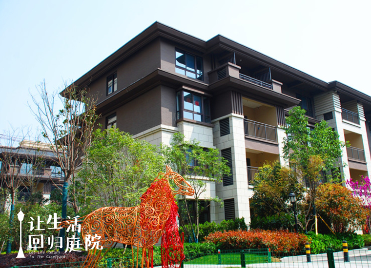 前后张望南阳50年：这样的庭院，，，，，，很难再有了！