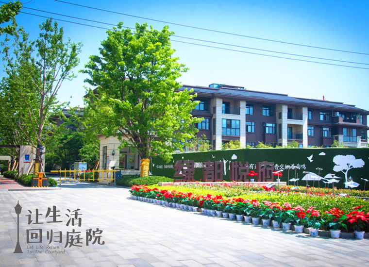 前后张望南阳50年：这样的庭院，，，，，，很难再有了！
