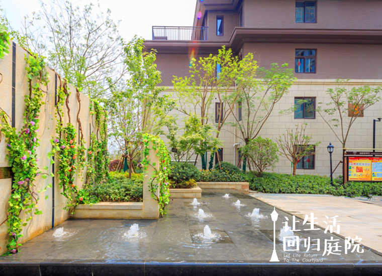 前后张望南阳50年：这样的庭院，，，，，，很难再有了！