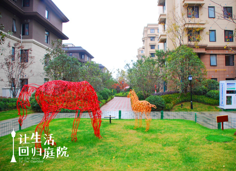前后张望南阳50年：这样的庭院，，，，，，很难再有了！