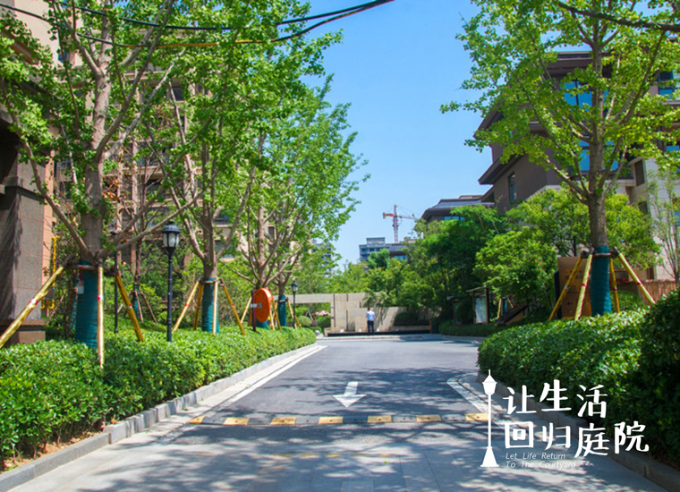 前后张望南阳50年：这样的庭院，，，，，，很难再有了！
