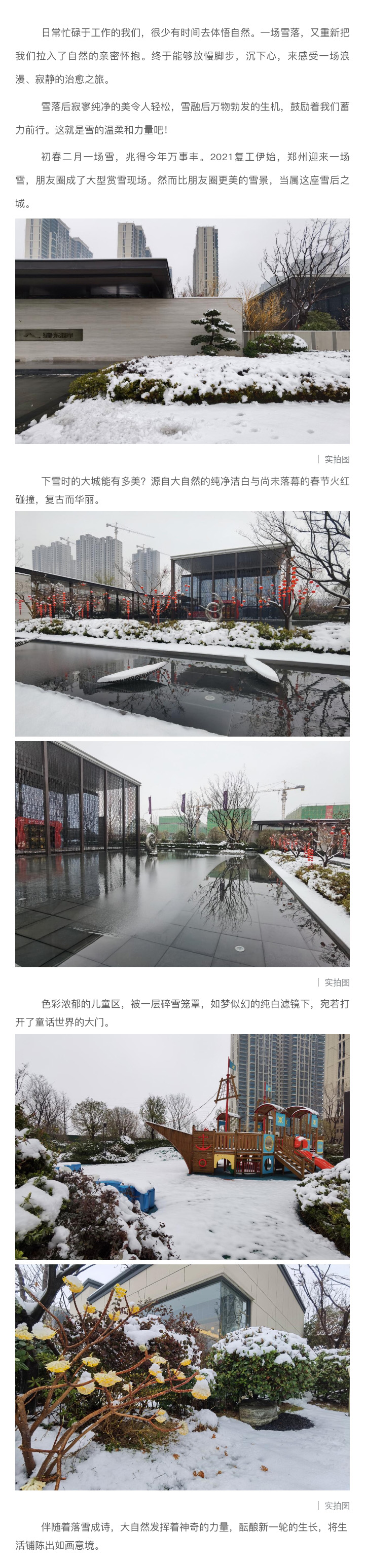 2021浪漫开年，，共赏一场鹅毛大雪！