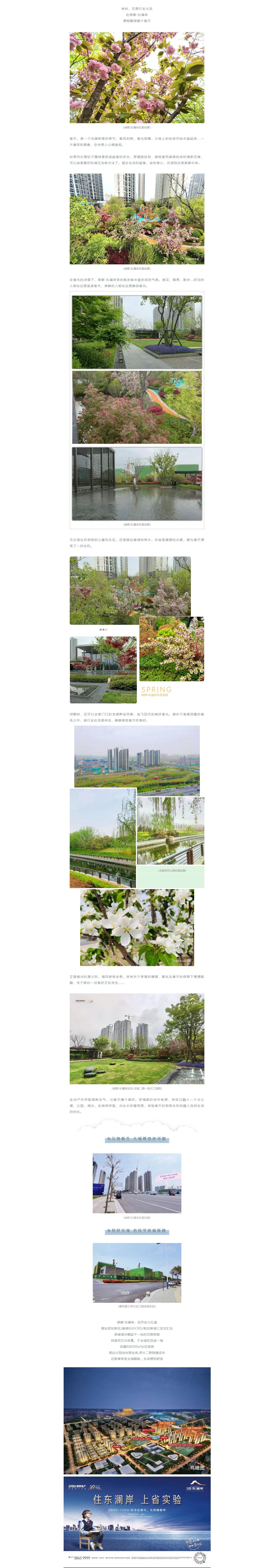 赏花踏青，，，，，，来一场和春天的约会